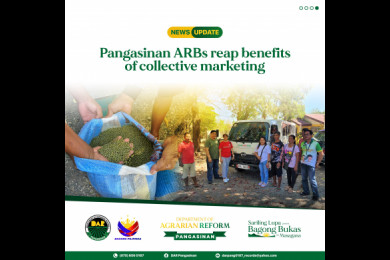 Pangasinan ARBs reap benefits of collective marketing