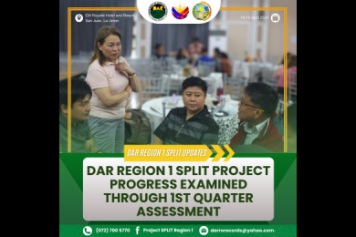 DAR REGION 1 SPLIT PROJECT Progress Examined Through 1st Quarter Assessment