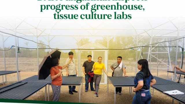 DAR Pangasinan inspects progress of greenhouse, tissue culture labs