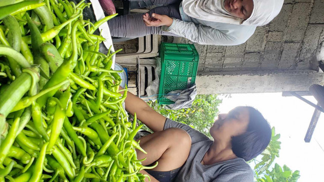 TFOLAC: Transforming Agricultural Livelihoods in Isabela