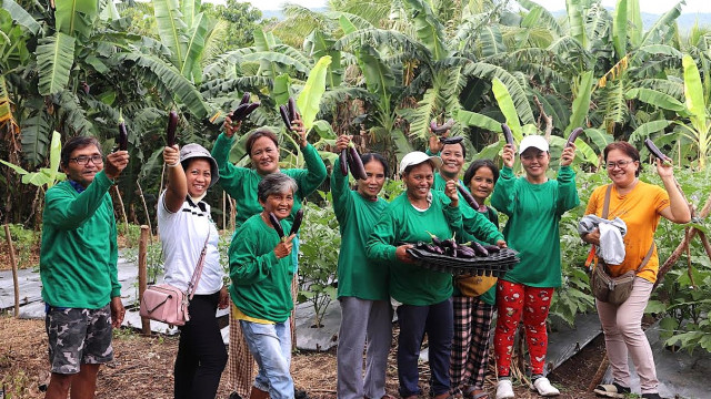 Mulanay agrarian reform beneficiaries learn Sustainable Vegetable Production